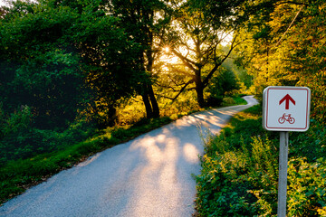 Radweg durch einen Wald