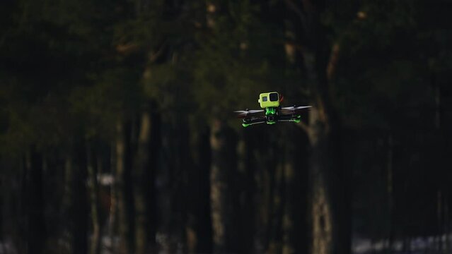 A quadcopter is flying against the background of trees in the forest in nature. The camera is watching him
