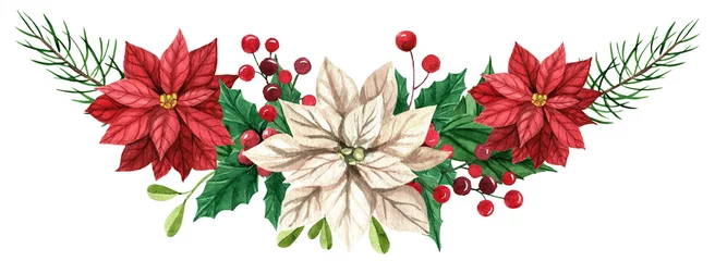 Tuinposter Watercolor composition with red and white poinsettia flowers, leaves, spruce branches with red berries. Winter bouquet.  Beautiful Christmas composition. © Solomiika