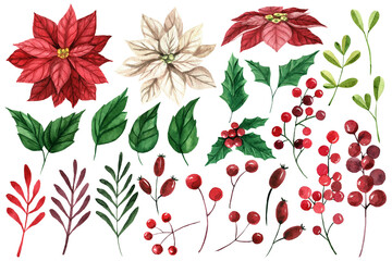 Set of watercolor plants for Christmas with red and white poinsettia flowers, leaves, branches, red berries. Winter bouquet. Beautiful Christmas composition. - obrazy, fototapety, plakaty