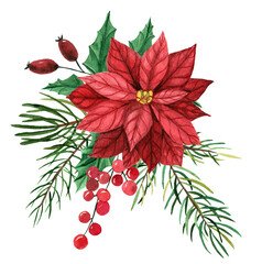 Watercolor composition with red poinsettia flower, leaves, spruce branches with red berries. Winter bouquet. Christmas composition. - obrazy, fototapety, plakaty