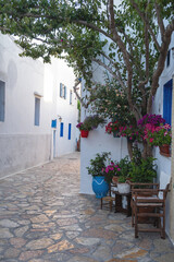 Ano Koufonisi island, Greece. Building,  tree,  blooming flower in pot, empty street. Vertical