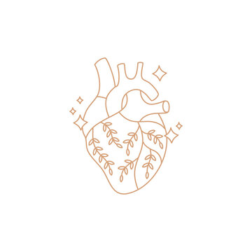 Real anatomical heart with flowers, gold simple contour line in boho style on white background, doodle flat shape illustration, modern trendy hand drawn vector magic symbol and mystic design element