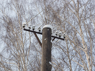 Old Soviet, Russian telegraph pole in snow. Tree branches, winter. Russia, Ural	