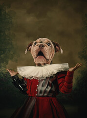 Surprised model like medieval royalty person in vintage clothing headed by dog head isolated on...