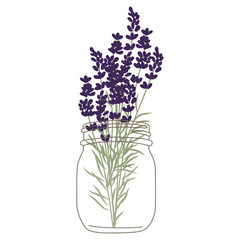 Naklejka premium bunch of lavender