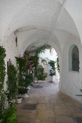 Fototapeta premium Cisternino, historic town in Apulia, Italy