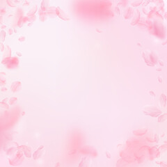 Fototapeta premium Sakura petals falling down. Romantic pink flowers vignette. Flying petals on pink square background. Love, romance concept. Impressive wedding invitation.