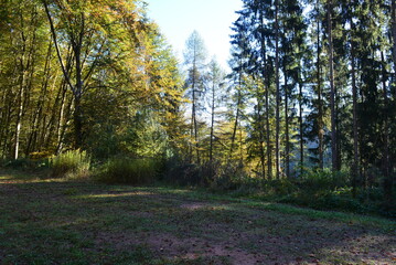 Fototapeta premium Rumbach_019 