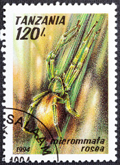 TANZANIA - CIRCA 1994: A stamp printed in Tanzania shows image of a micrommata rosea., circa 1994