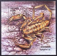 TANZANIA - CIRCA 1994: A stamp souvenir sheet printed in Tanzania, shows the Scorpion Hadogenes sp. , circa 1994