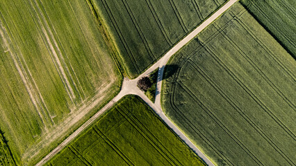 Crossroads in the fields