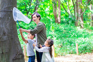 虫採りをするお父さんと子どもたち