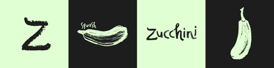 Vector zucchini icon isolated. Hand drawn vegetable squash drawing, cocozelle illustration. Vegetarian restaurant logo. Botanical sign. Vegetable insignia for organic food label. Home cooking courses.