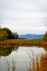 Autumn beautyfull and colored with wine