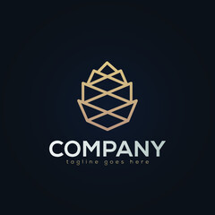 Cone, Pine Cone Nature Logo Design