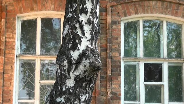 Alapaevsk, Russia - 17 July 2012: Windows of museum of Remembrance of Representatives of Russian Imperial House. Building, which contained relatives of Nicholas II before their execution.