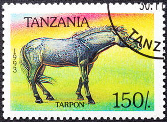 TANZANIA - DISTRICT 1993: A stamp printed in Tanzania shows Tarpan Equus ferus ferus , Horses serie, circa 1993
