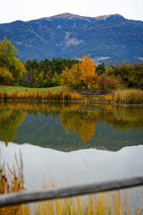Autumn beautyfull and colored with wine