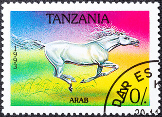 TANZANIA - DISTRICT 1993: A stamp printed in Tanzania shows Arabian Horse Equus ferus caballus ,...