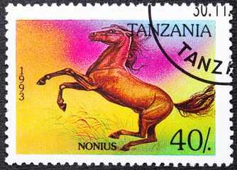 TANZANIA - CIRCA 1993: A stamp printed in Tanzania shows Nonius Equus ferus caballus , Horses...