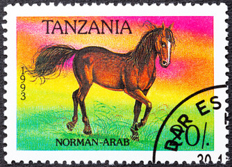 TANZANIA - CIRCA 1993: A stamp printed in Tanzania shows Norman-Arab Equus ferus caballus , Horses...