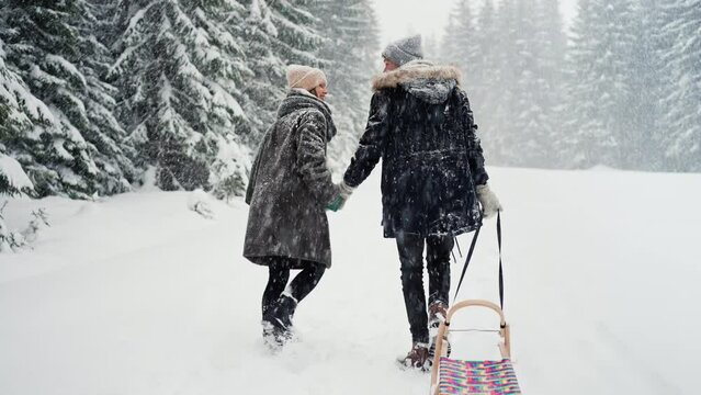 Rear view of young couple in love walking and pulling sledge in winter under falling snow.