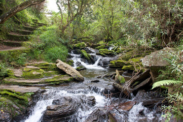 Bridal Falls South Africa