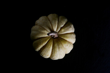 white pumpkin isolated on black background flat lay image contains copy space