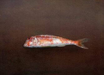 Red Mullet