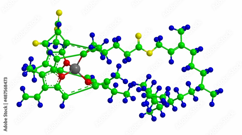 Wall mural Chlorophyll - molecular structure, 3D rendering