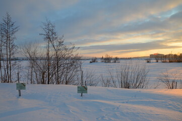 winter landscape with snow