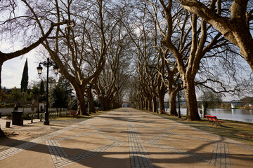 Alameda next to the river. Walk with trees in a city in Portugal