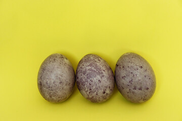 Purple Easter eggs on yellow background