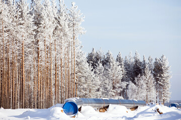 construction of a gas pipe in siberia
