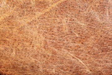Fragment of leather jacket as texture