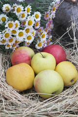 apples and flowers