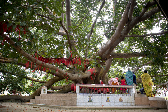Kailashahar, India - January 23 2022 : 14 God's temple at Kailashahar, Tripura