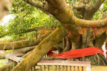 Kailashahar, India - January 23 2022 : 14 God's temple at Kailashahar, Tripura