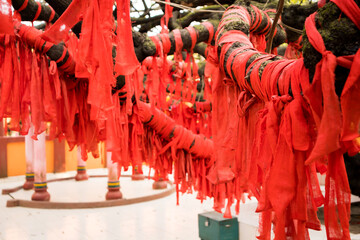 Fototapeta na wymiar Red cloth piece tied in a banyan tree by the devotees