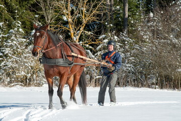 Skioring, winter sports with horse. A man stands on skis and lets himself be dragged by his horse through the winter landscape. Skijoring is a winter sport, which has its roots in Scandinavia.