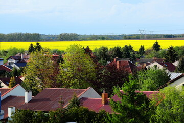 A housing estate with a rape field in the background - obrazy, fototapety, plakaty