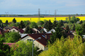 A housing estate with a rape field in the background