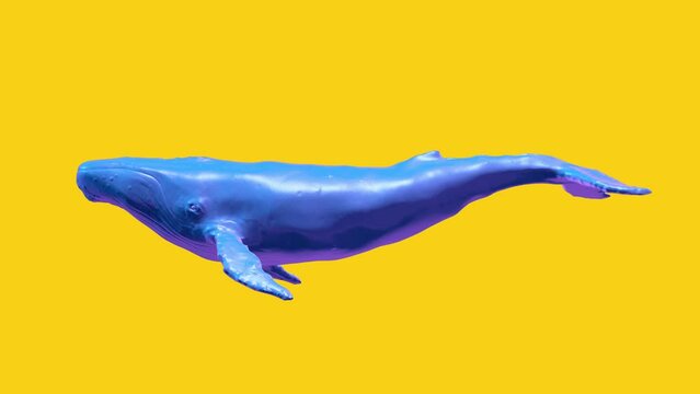 Swimming blue whale. Abstract pop art concept. Realistic 3d character animal in creative modern motion style. Minimal graphic colorful psychedelic design. Fashion bright animation.