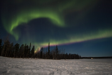 Breathtaking green dancing aurora borealis in the dark sky in Levi, lapland, Northern Finland....