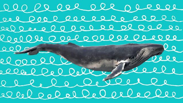 Swimming blue whale. Abstract art concept with doodle draw shapes. Realistic 3d character animal. Background in creative stop motion style. Graphic colorful design. Cartoon fashion loop animation.