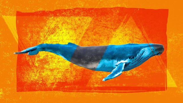 Swimming blue whale. Abstract art concept with grunge draw shapes. Realistic 3d character animal. Background in creative stop motion style. Graphic colorful design. Cartoon fashion loop animation.
