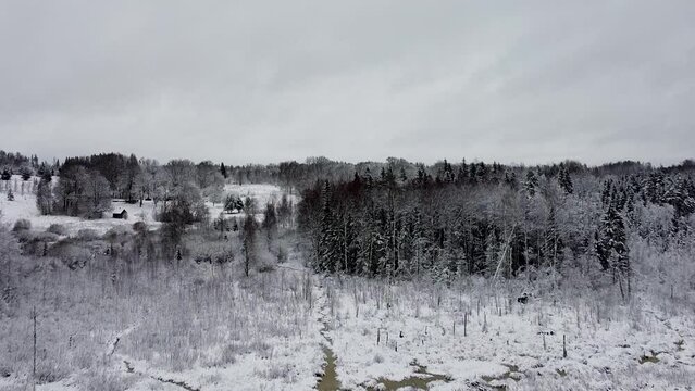 Aerial drone view of a snowy forest in the middle of a forest and next to a lake. Recorded in Alatsi lake, Teringi raba in Estonia