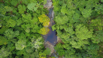 green moss on stone wall