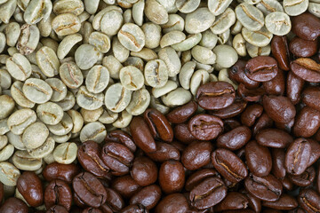 Roasted and unroasted coffee beans
